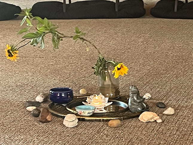 A moment of stillness in Yoga Nidra practice